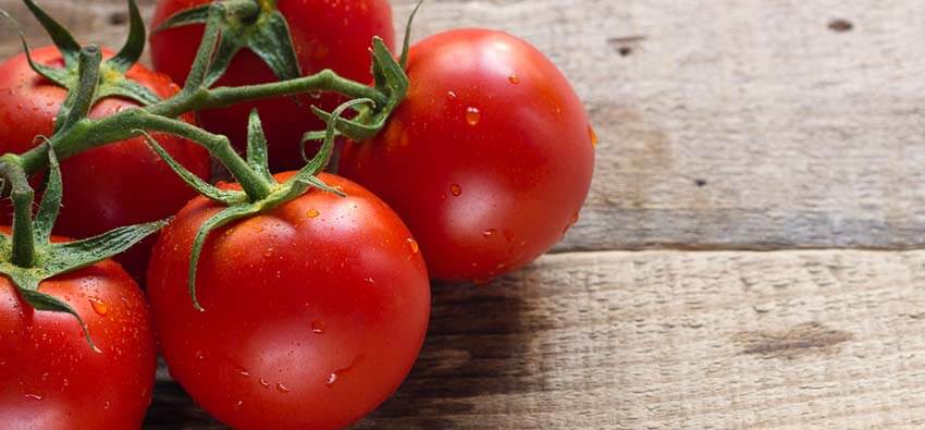 Tomatoes on the vine